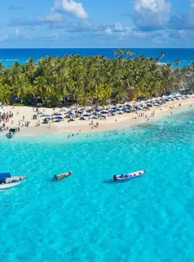 Ilha de coqueiros com banco de areia e mar azul
